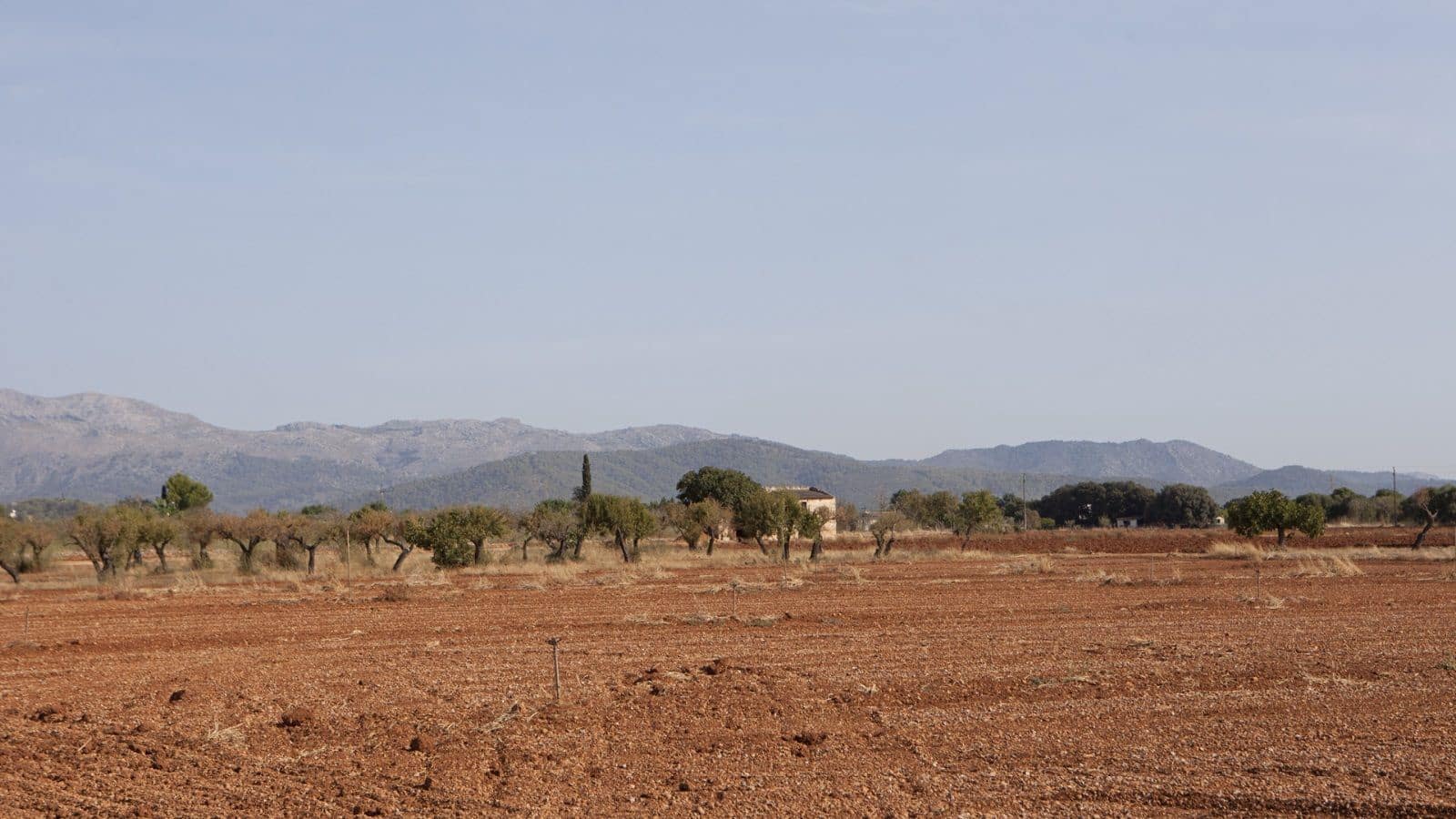 Finka/Dom wiejski na sprzedaż w Sa Pobla - 745 000 € (Ref: 9523131)