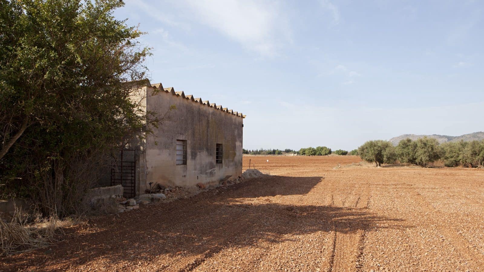 Finka/Dom wiejski na sprzedaż w Sa Pobla - 745 000 € (Ref: 9523131)