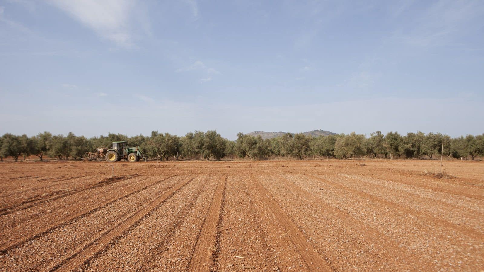 Finka/Dom wiejski na sprzedaż w Sa Pobla - 745 000 € (Ref: 9523131)