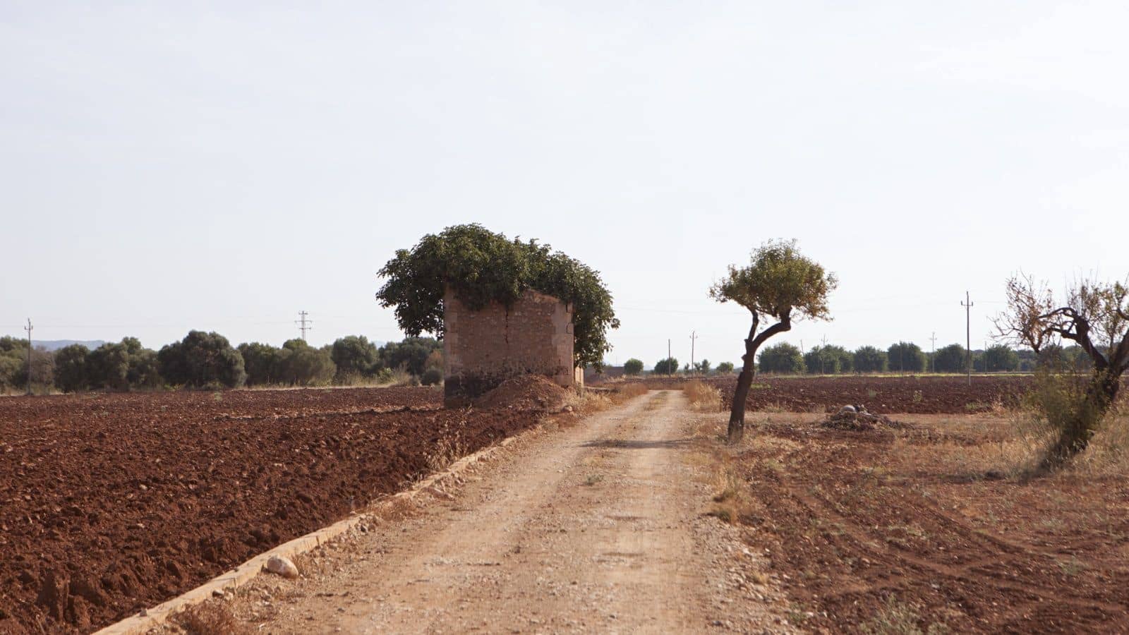 Finka/Dom wiejski na sprzedaż w Sa Pobla - 745 000 € (Ref: 9523131)