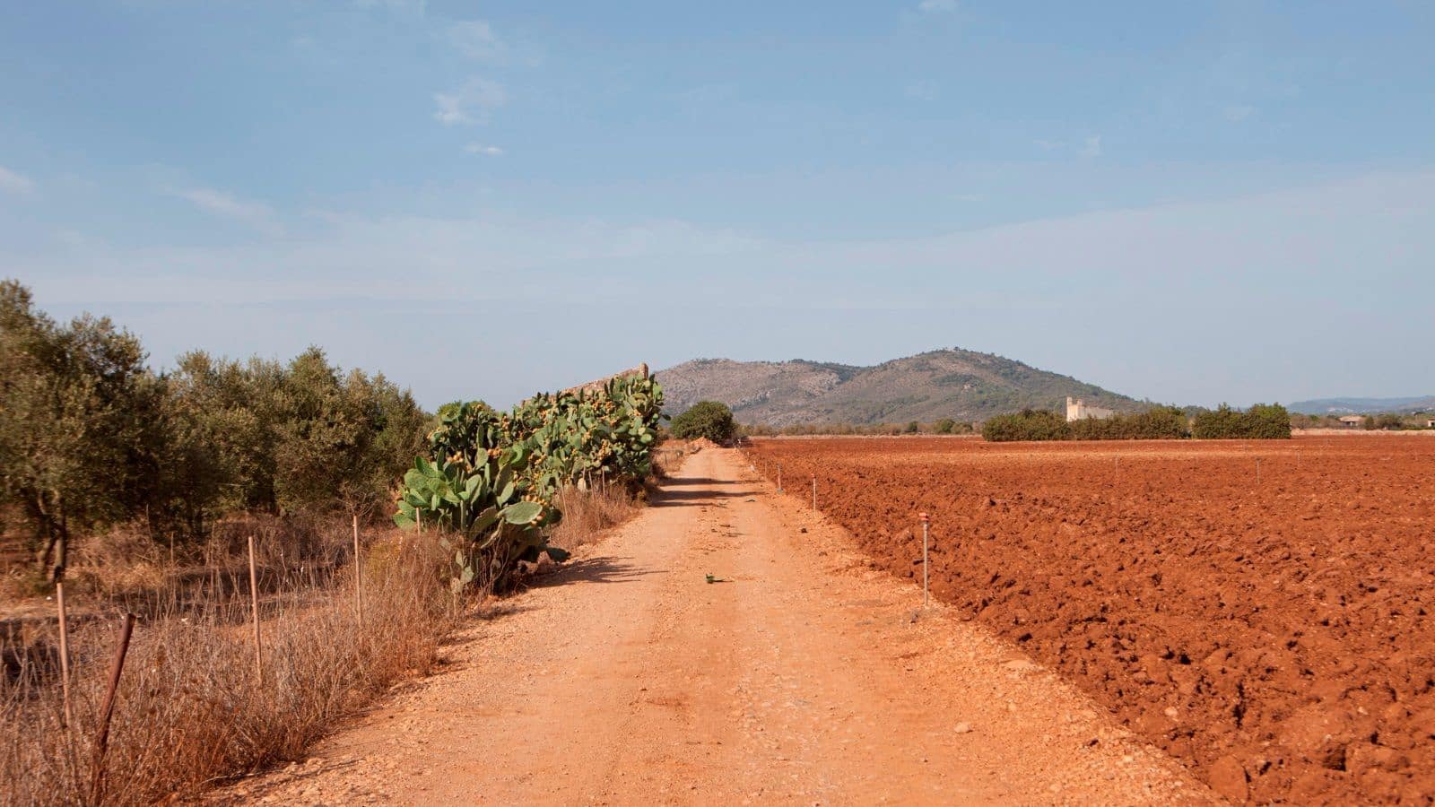 Finka/Dom wiejski na sprzedaż w Sa Pobla - 745 000 € (Ref: 9523131)