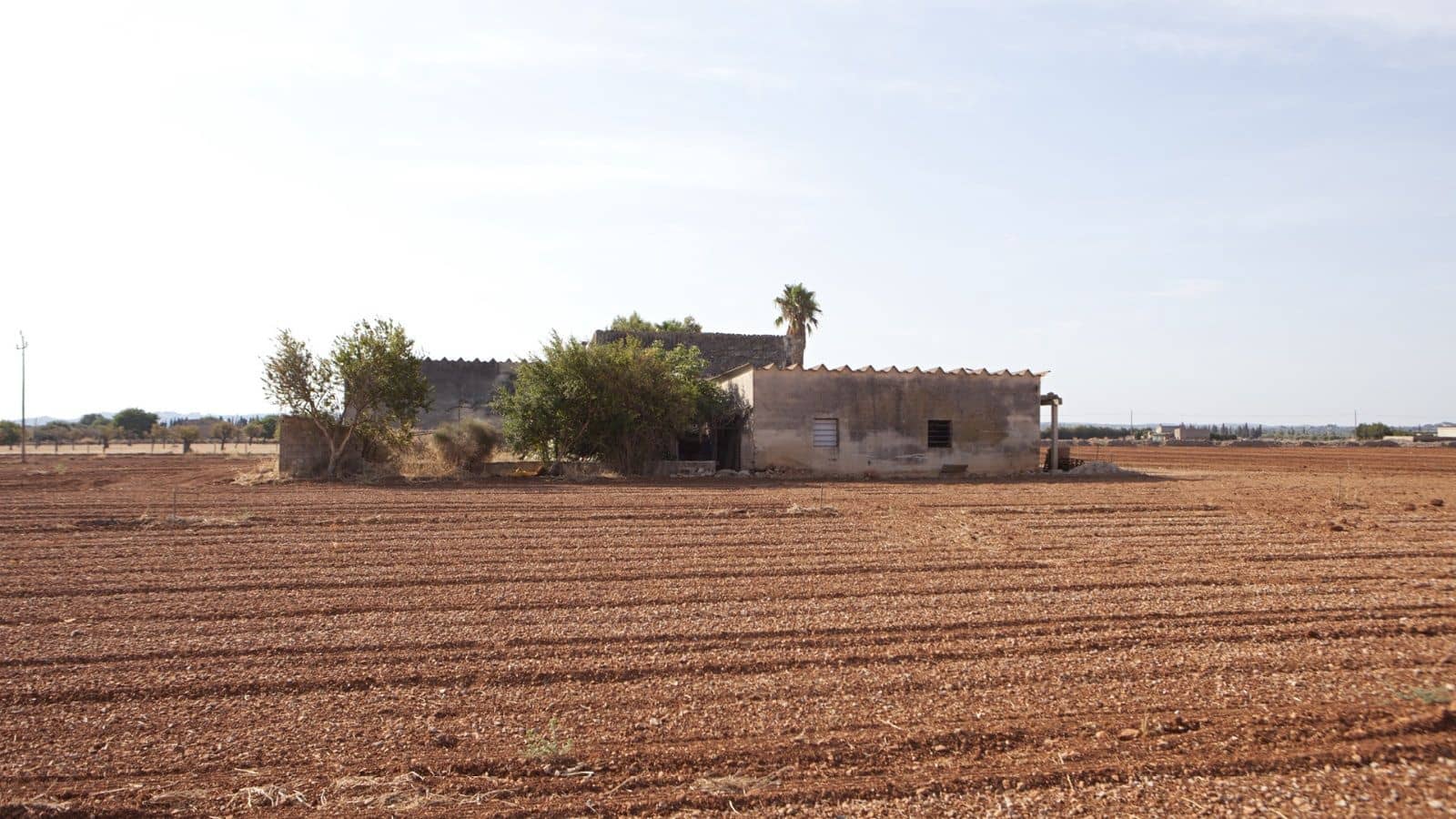 Finka/Dom wiejski na sprzedaż w Sa Pobla - 745 000 € (Ref: 9523131)