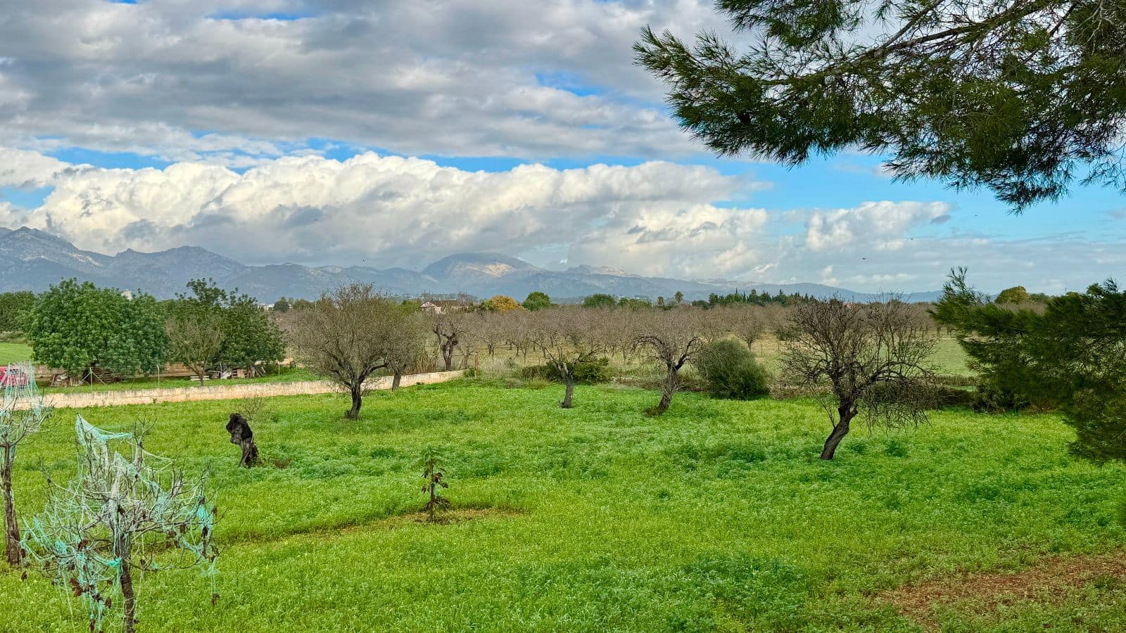 4 Zimmer Finca/Landgut zu verkaufen in Inca mit Pool Garage - 685.000 € (Ref: 9523139)