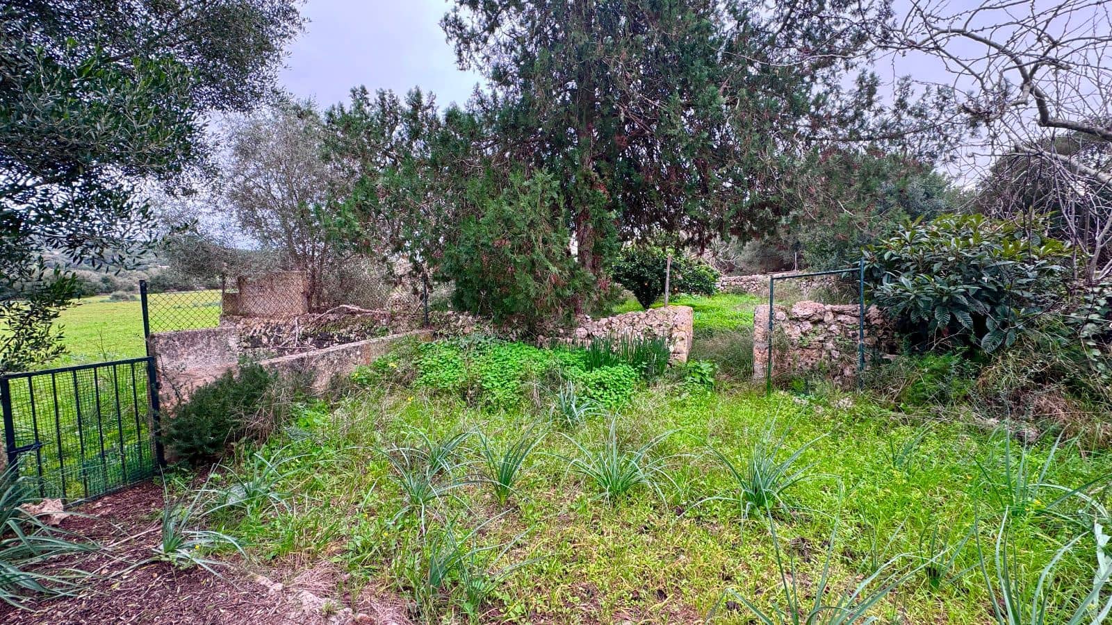 6 slaapkamer Finca/Landhuis te koop in Manacor met garage - € 2.200.000 (Ref: 9523140)