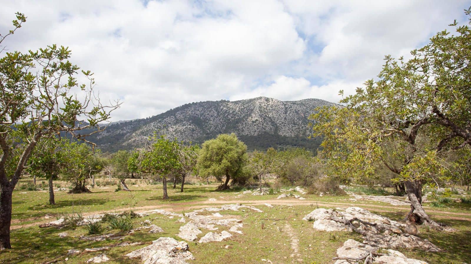 4 Zimmer Finca/Landgut zu verkaufen in Pollensa / Pollenca mit Garage - 1.800.000 € (Ref: 9523142)