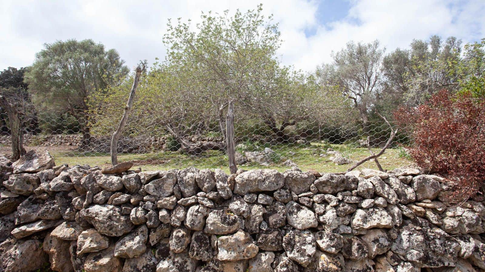 4 Zimmer Finca/Landgut zu verkaufen in Pollensa / Pollenca mit Garage - 1.800.000 € (Ref: 9523142)