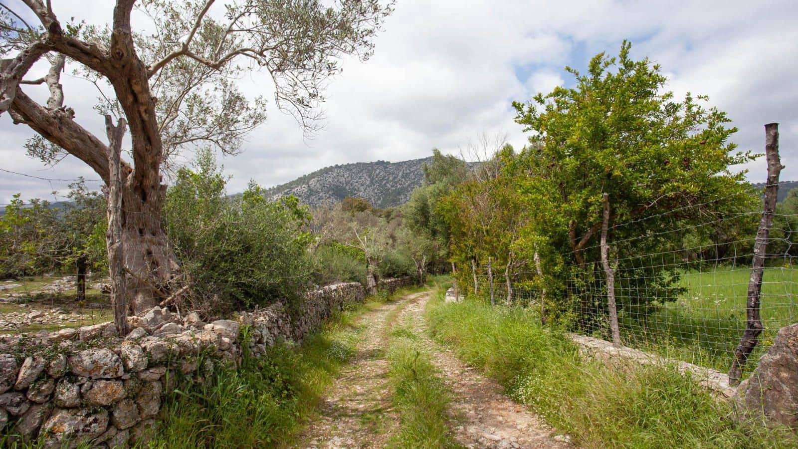4 Zimmer Finca/Landgut zu verkaufen in Pollensa / Pollenca mit Garage - 1.800.000 € (Ref: 9523142)