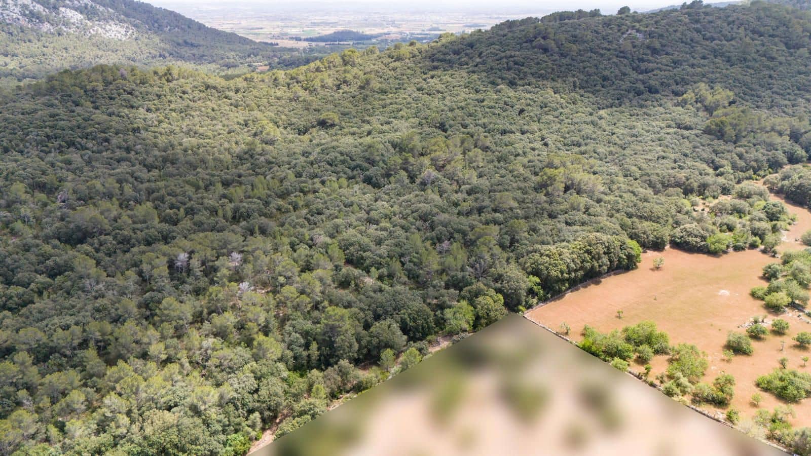 4 Zimmer Finca/Landgut zu verkaufen in Pollensa / Pollenca mit Garage - 1.800.000 € (Ref: 9523142)