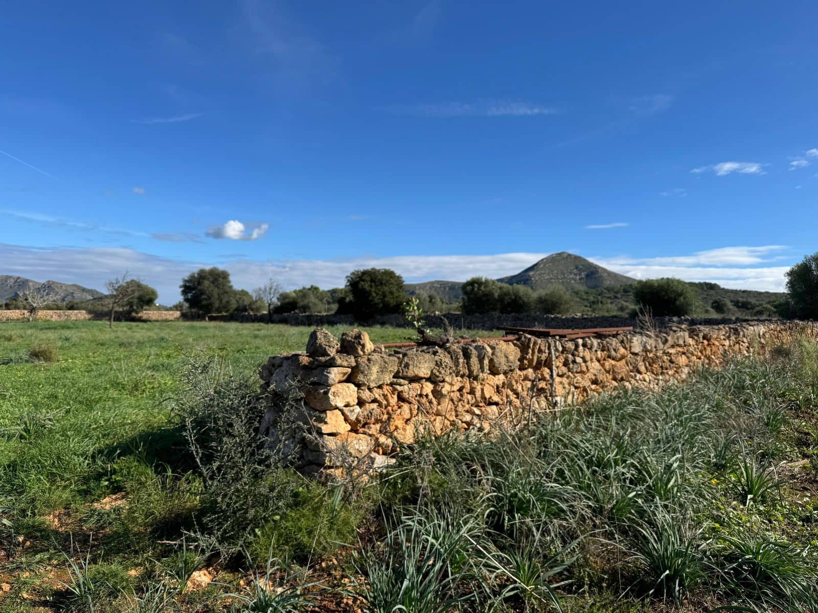 Finca/Casa Rural de 2 habitaciones en Petra en venta con garaje - 850.000 € (Ref: 9523146)
