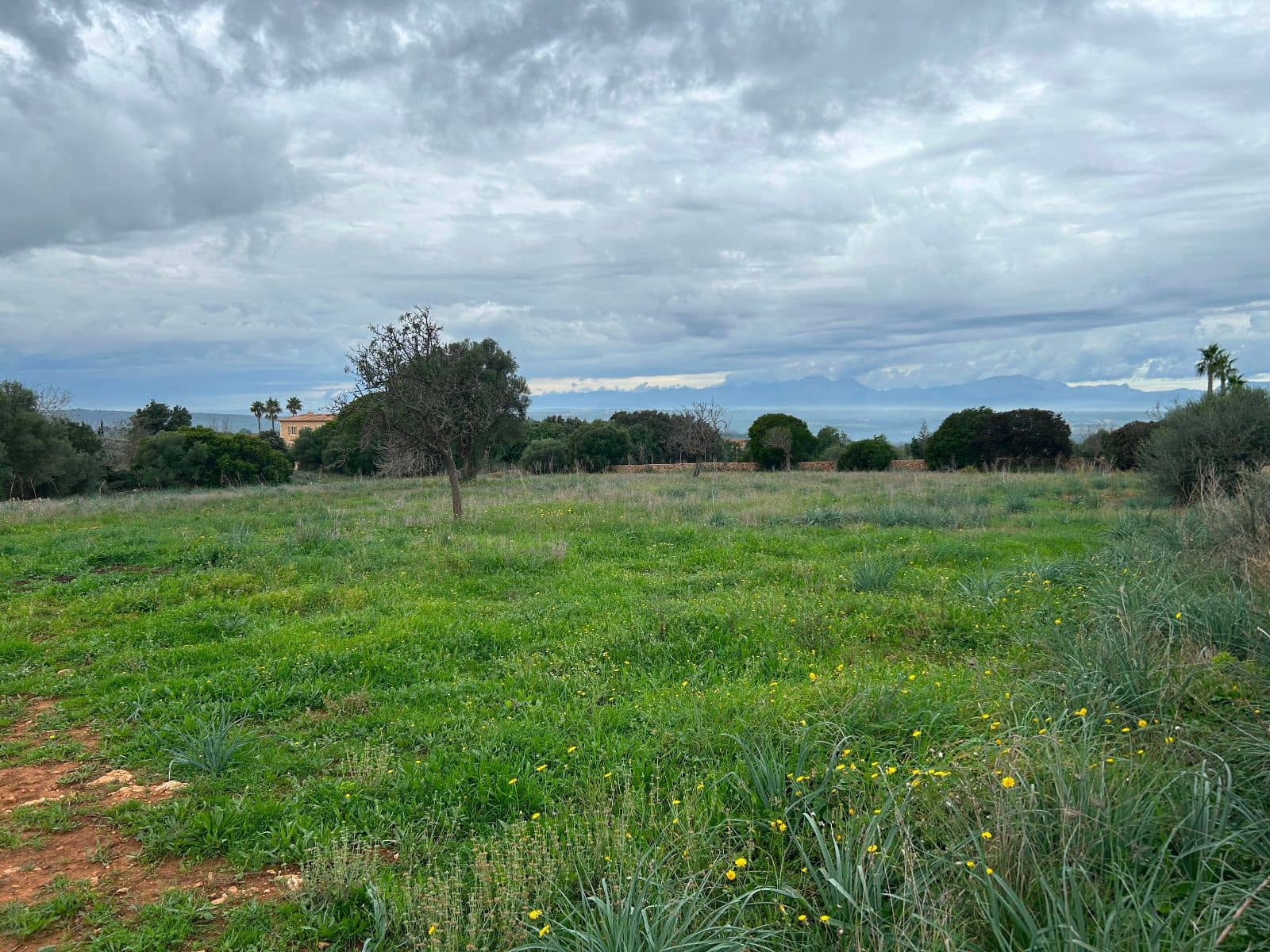 Finca/Casa Rural de 2 habitaciones en Petra en venta con garaje - 850.000 € (Ref: 9523146)