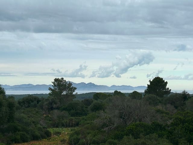 Finca/Casa Rural de 2 habitaciones en Petra en venta con garaje - 850.000 € (Ref: 9523146)