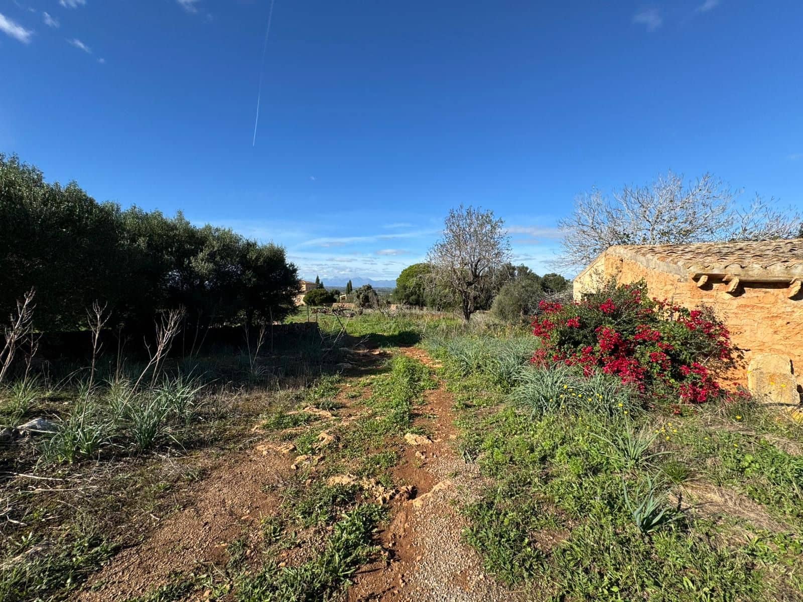 Finca/Casa Rural de 2 habitaciones en Petra en venta con garaje - 850.000 € (Ref: 9523146)