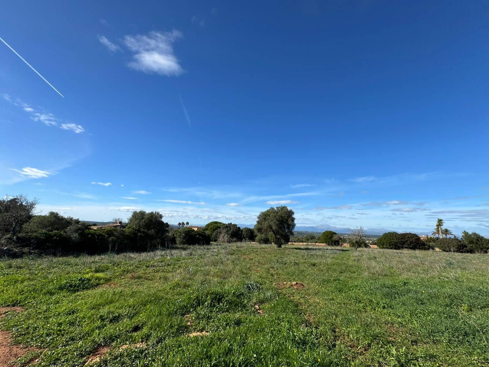 Finca/Casa Rural de 2 habitaciones en Petra en venta con garaje - 850.000 € (Ref: 9523146)