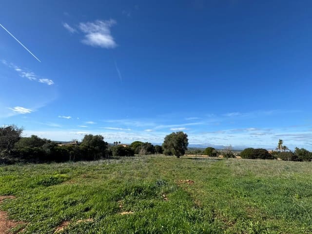 Finca/Casa Rural de 2 habitaciones en Petra en venta con garaje - 850.000 € (Ref: 9523146)