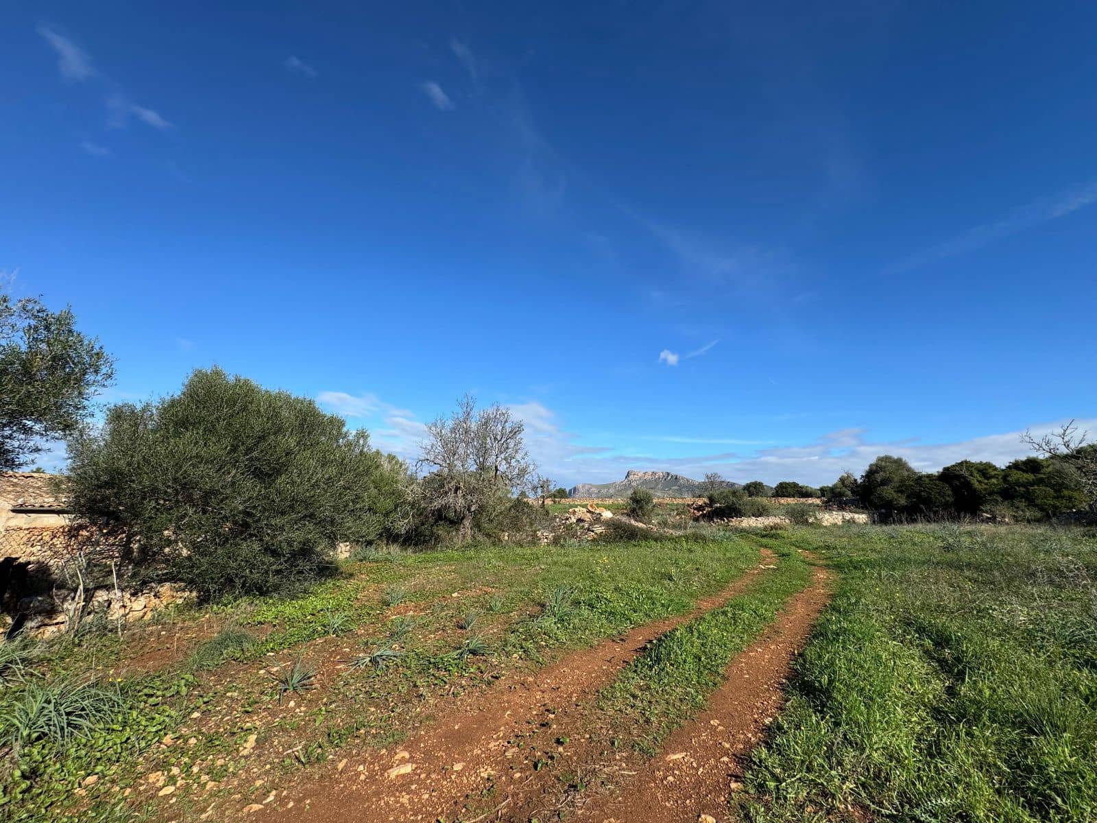 Finca/Casa Rural de 2 habitaciones en Petra en venta con garaje - 850.000 € (Ref: 9523146)