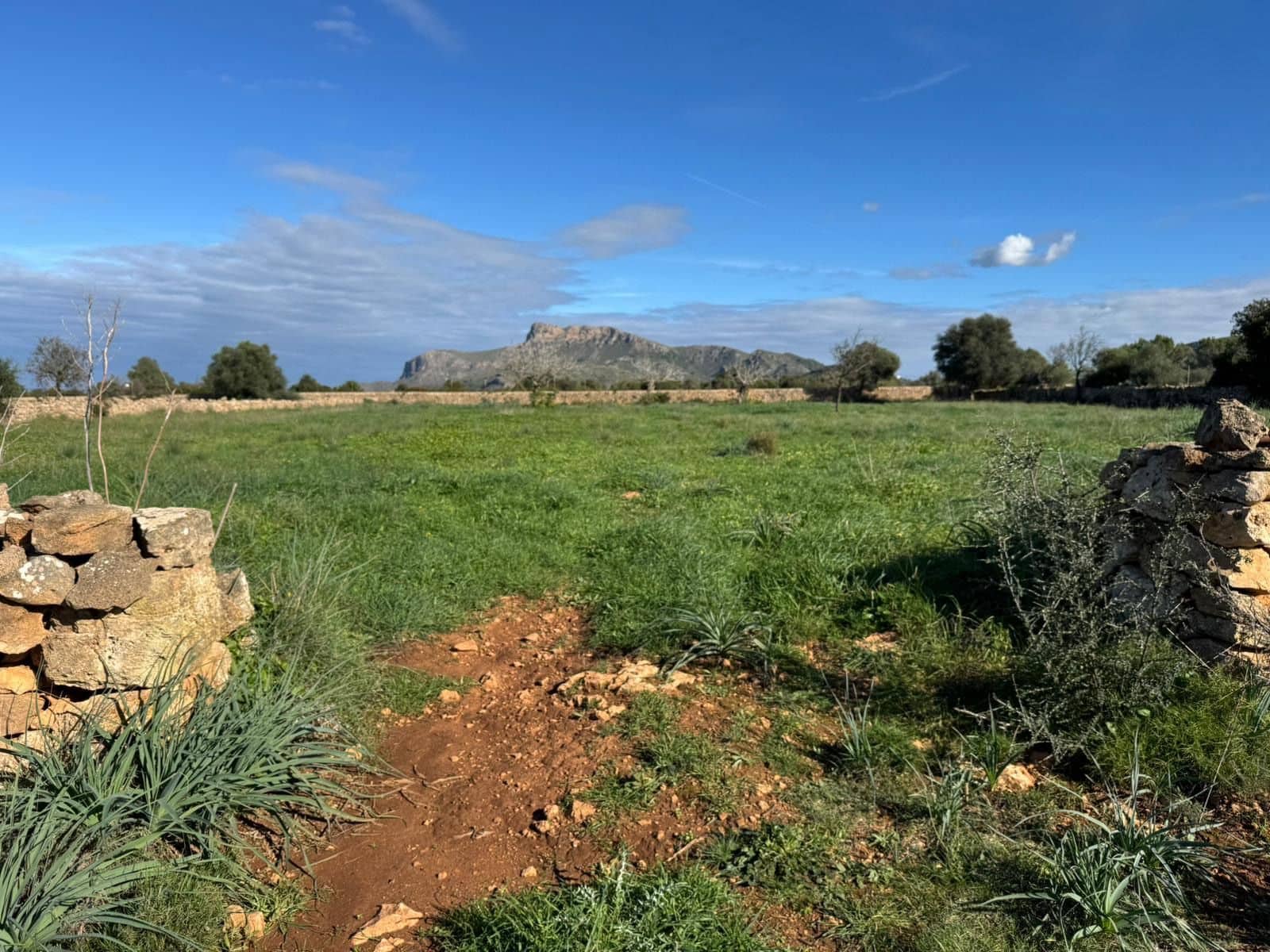 Finca/Casa Rural de 2 habitaciones en Petra en venta con garaje - 850.000 € (Ref: 9523146)