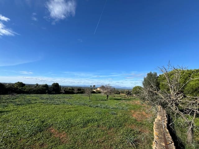 Finca/Casa Rural de 2 habitaciones en Petra en venta con garaje - 850.000 € (Ref: 9523146)