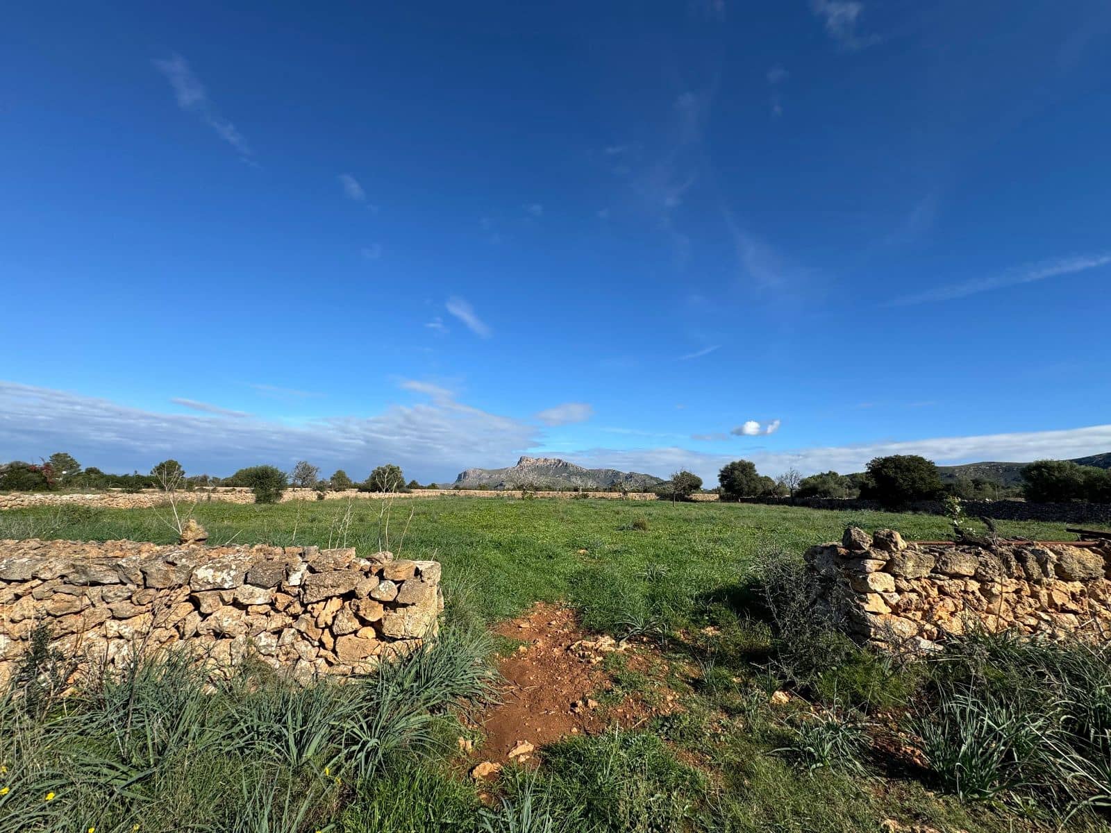 Finca/Casa Rural de 2 habitaciones en Petra en venta con garaje - 850.000 € (Ref: 9523146)