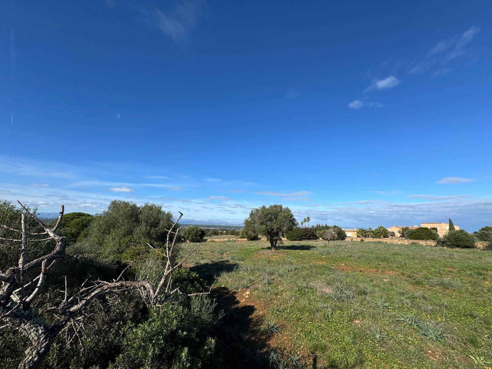 Finca/Casa Rural de 2 habitaciones en Petra en venta con garaje - 850.000 € (Ref: 9523146)