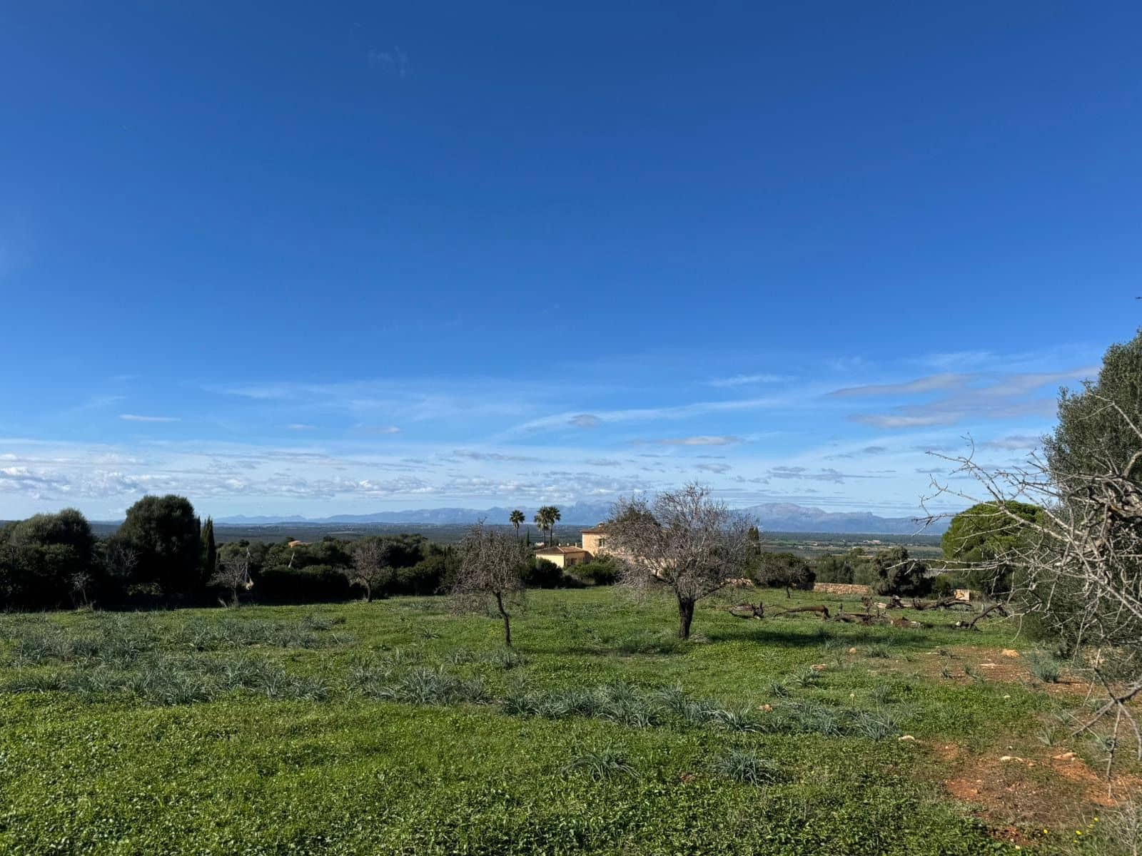 Finca/Casa Rural de 2 habitaciones en Petra en venta con garaje - 850.000 € (Ref: 9523146)