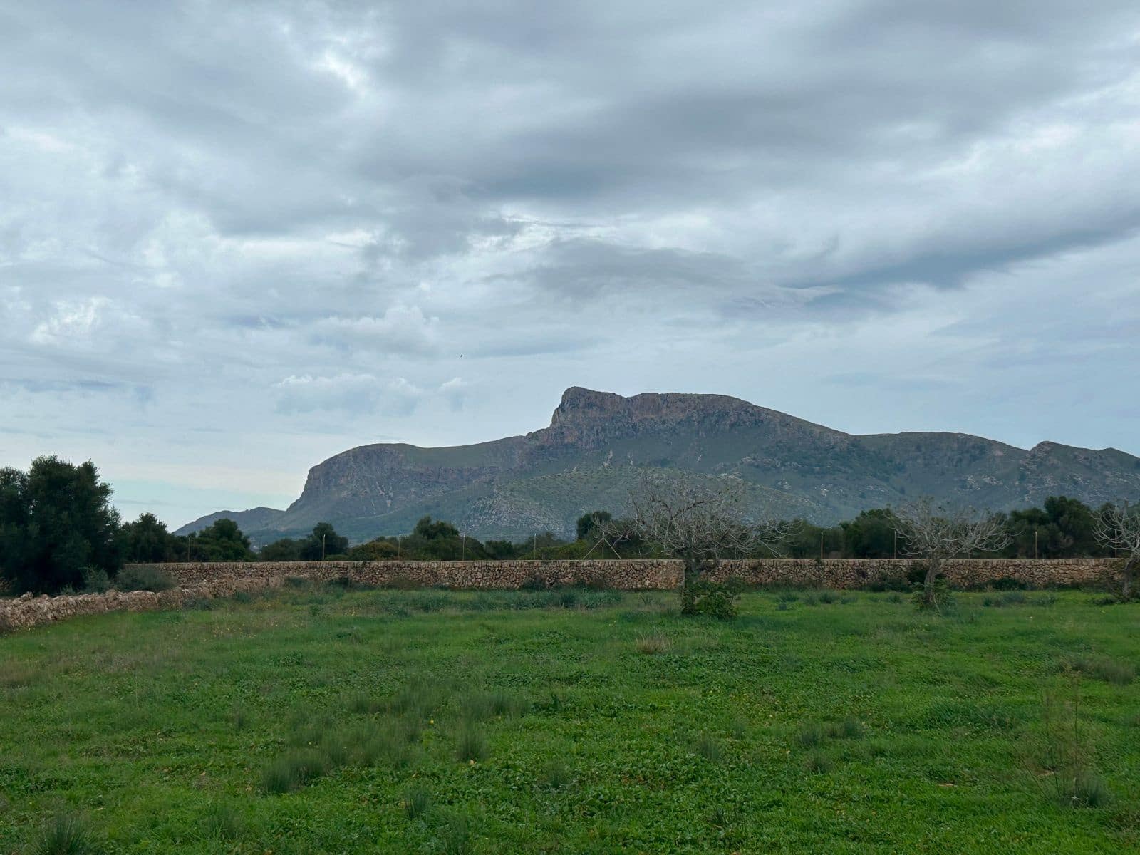 Finca/Casa Rural de 2 habitaciones en Petra en venta con garaje - 850.000 € (Ref: 9523146)