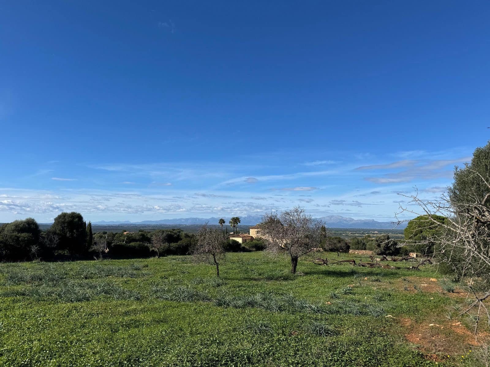 Finca/Casa Rural de 2 habitaciones en Petra en venta con garaje - 850.000 € (Ref: 9523146)