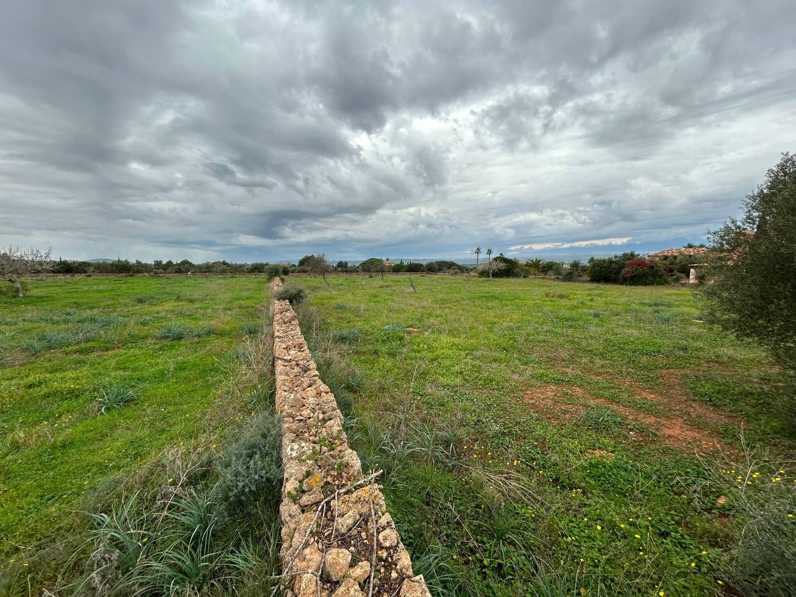 Finca/Casa Rural de 2 habitaciones en Petra en venta con garaje - 850.000 € (Ref: 9523146)