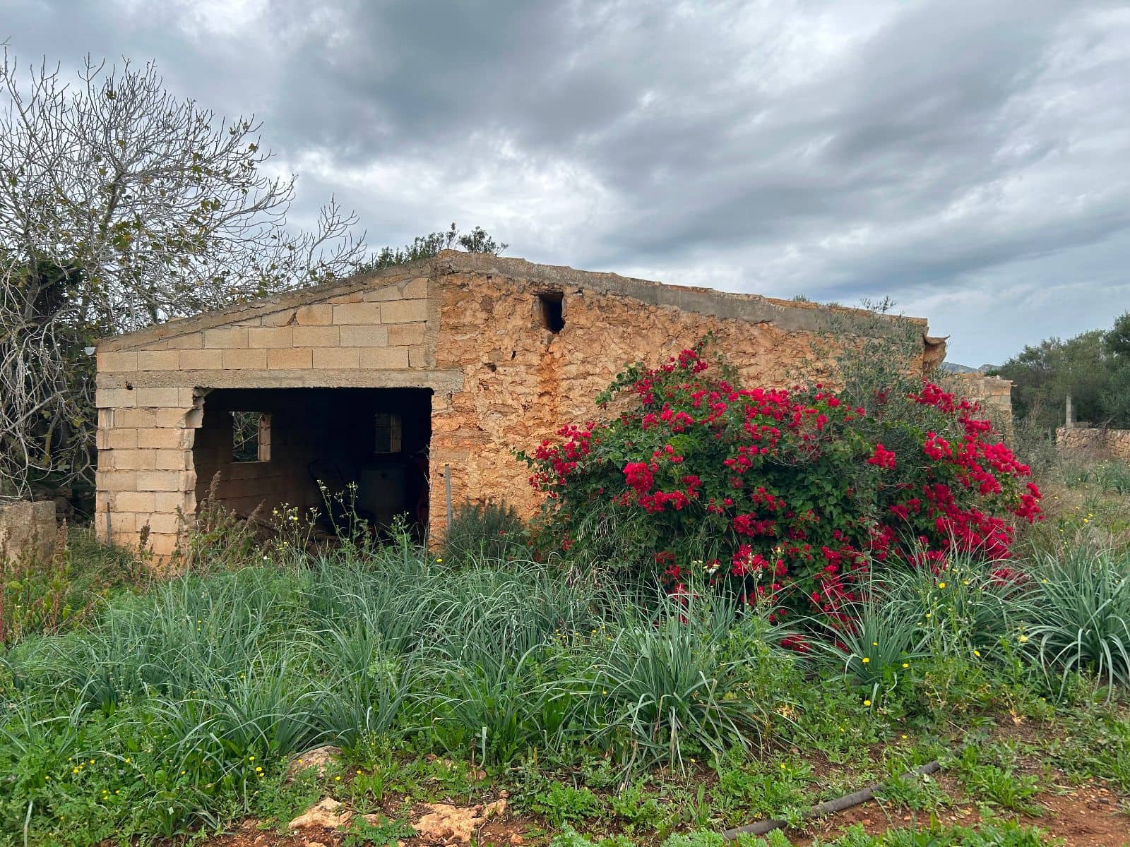 Finca/Casa Rural de 2 habitaciones en Petra en venta con garaje - 850.000 € (Ref: 9523146)