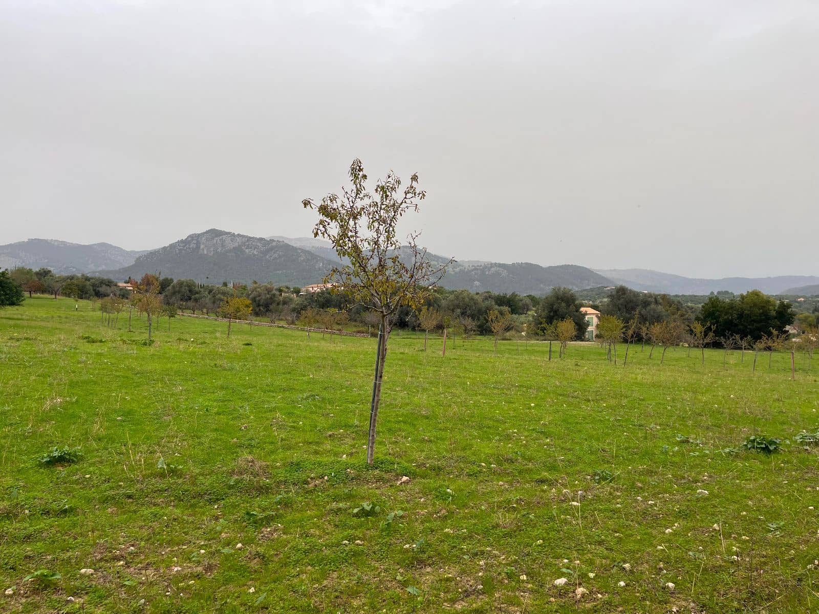 5 sovrum Finca/Hus på landet till salu i Moscari med pool garage - 795 000 € (Ref: 9523157)