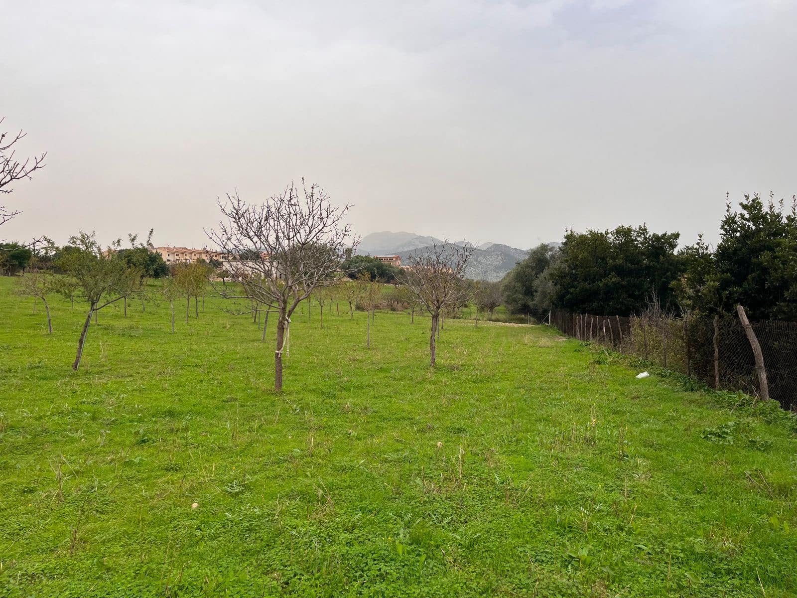 5 sovrum Finca/Hus på landet till salu i Moscari med pool garage - 795 000 € (Ref: 9523157)