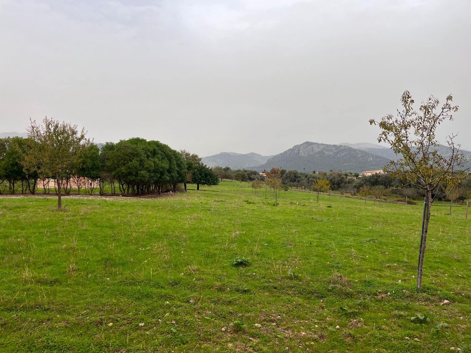 5 sovrum Finca/Hus på landet till salu i Moscari med pool garage - 795 000 € (Ref: 9523157)