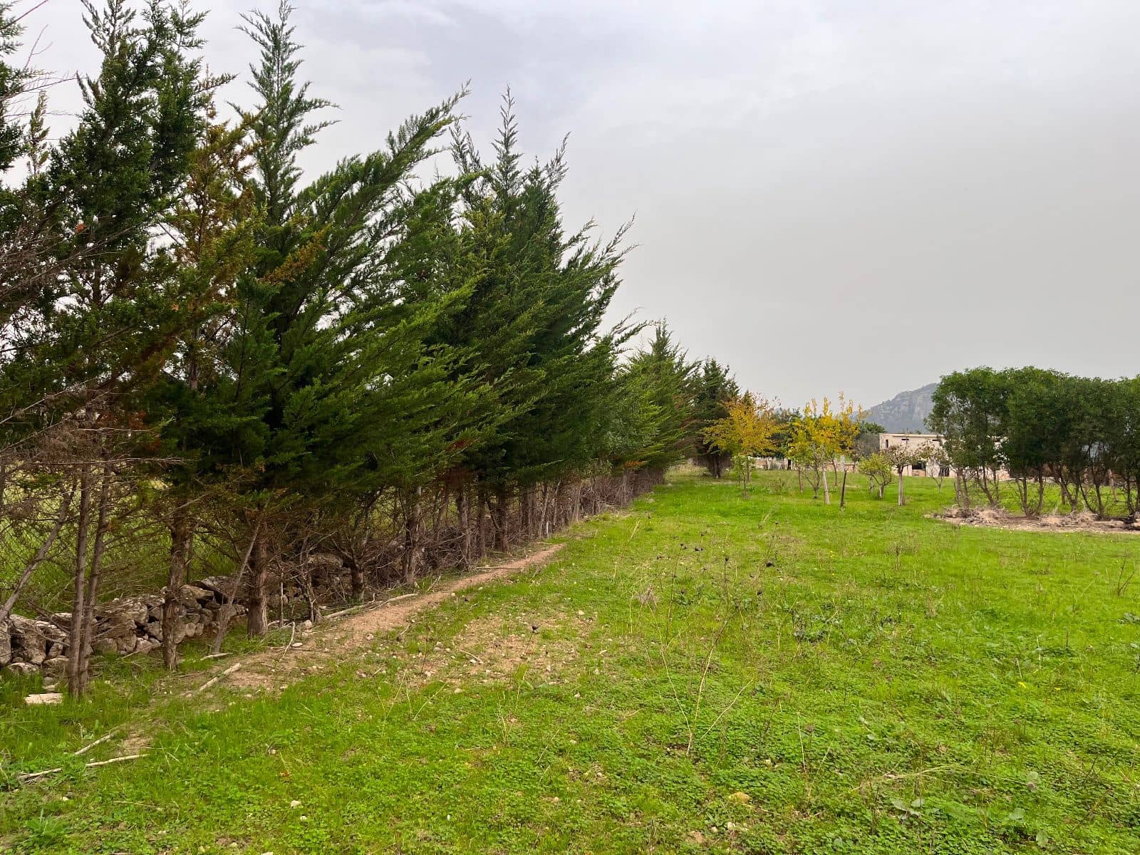 5 sovrum Finca/Hus på landet till salu i Moscari med pool garage - 795 000 € (Ref: 9523157)