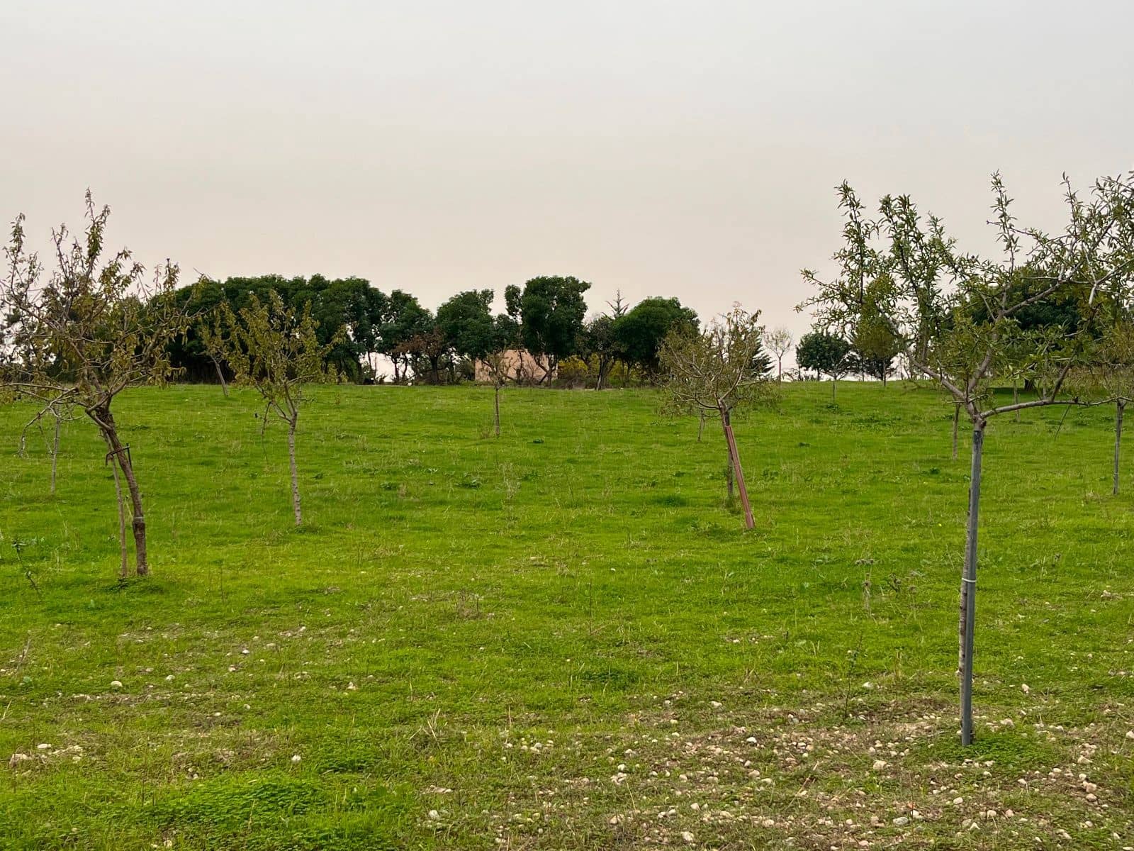 5 sovrum Finca/Hus på landet till salu i Moscari med pool garage - 795 000 € (Ref: 9523157)