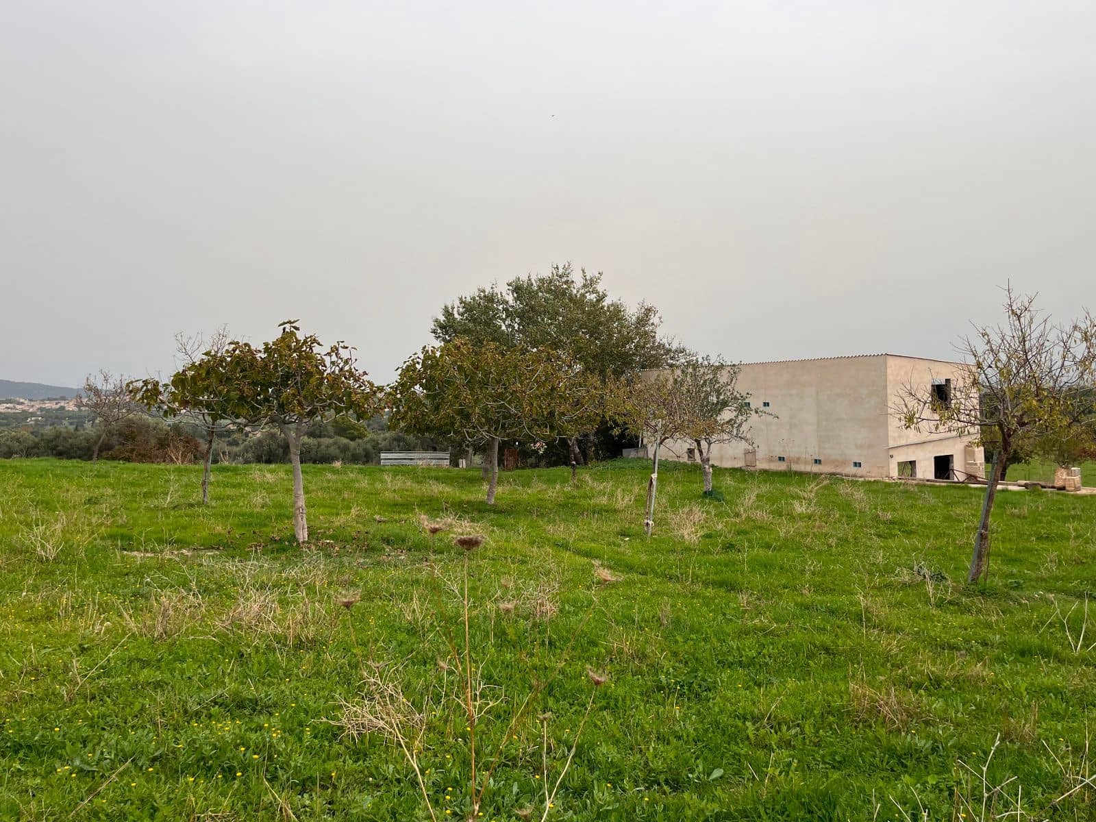 5 sovrum Finca/Hus på landet till salu i Moscari med pool garage - 795 000 € (Ref: 9523157)