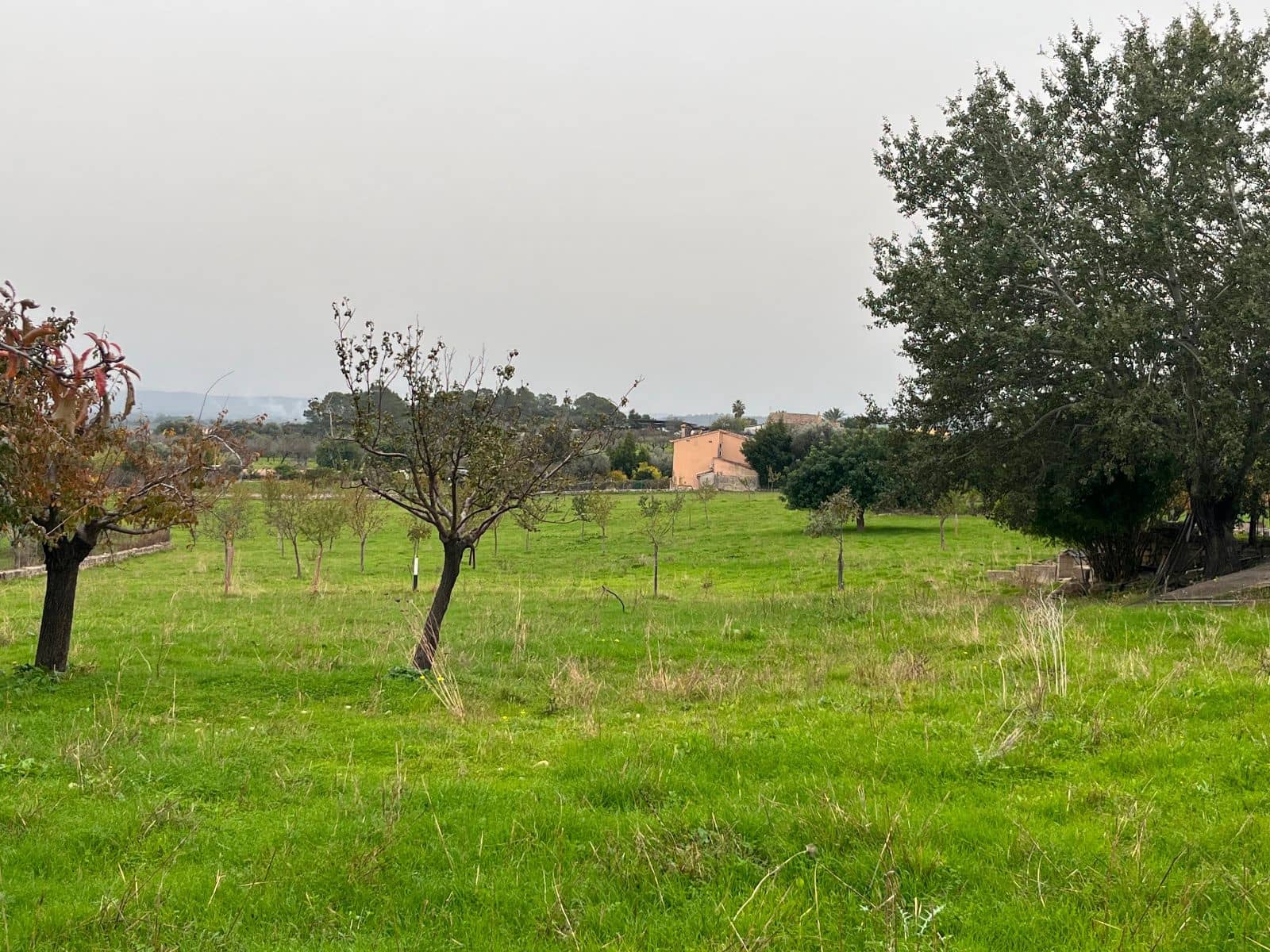 5 sovrum Finca/Hus på landet till salu i Moscari med pool garage - 795 000 € (Ref: 9523157)