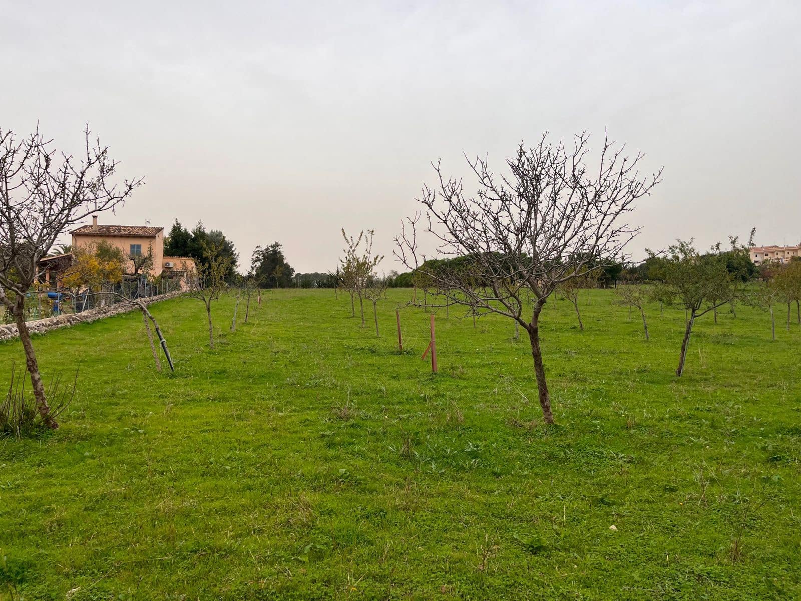 5 sovrum Finca/Hus på landet till salu i Moscari med pool garage - 795 000 € (Ref: 9523157)