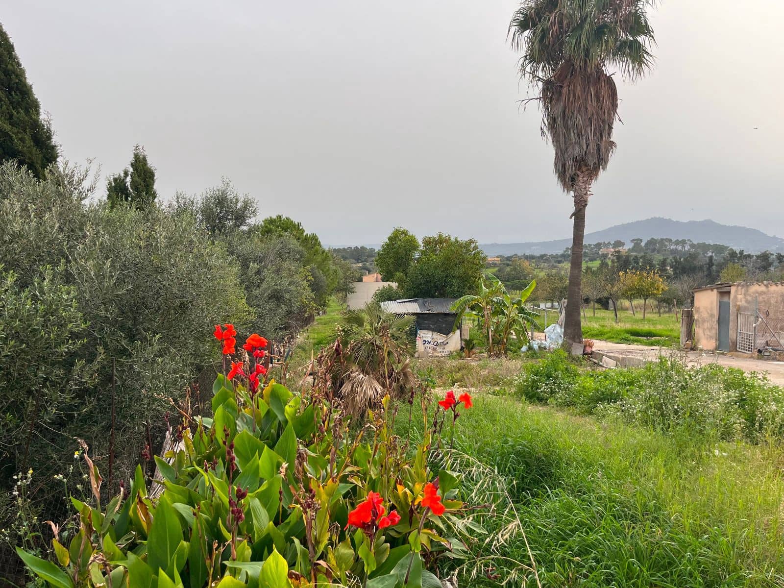 5 sovrum Finca/Hus på landet till salu i Moscari med pool garage - 795 000 € (Ref: 9523157)