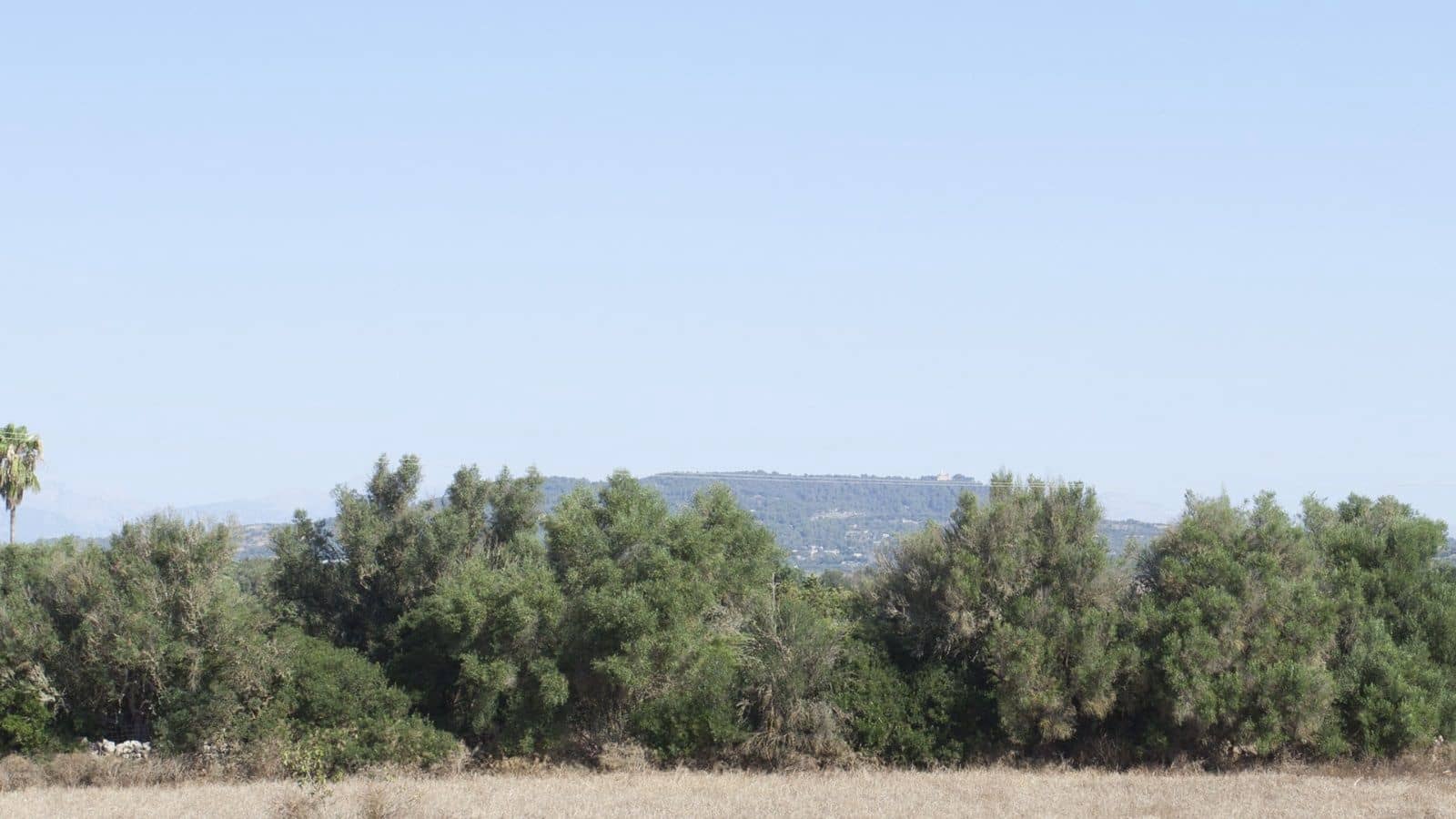 8 slaapkamer Finca/Landhuis te koop in Manacor met garage - € 2.000.000 (Ref: 9523158)