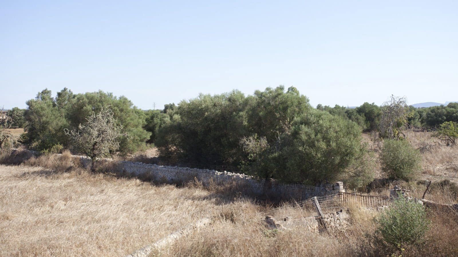 8 slaapkamer Finca/Landhuis te koop in Manacor met garage - € 2.000.000 (Ref: 9523158)