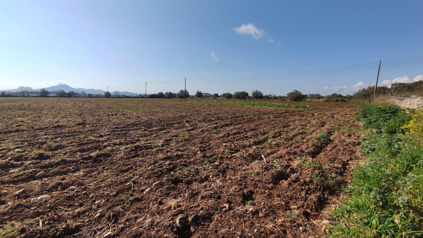 8 slaapkamer Finca/Landhuis te koop in Manacor met garage - € 2.000.000 (Ref: 9523158)