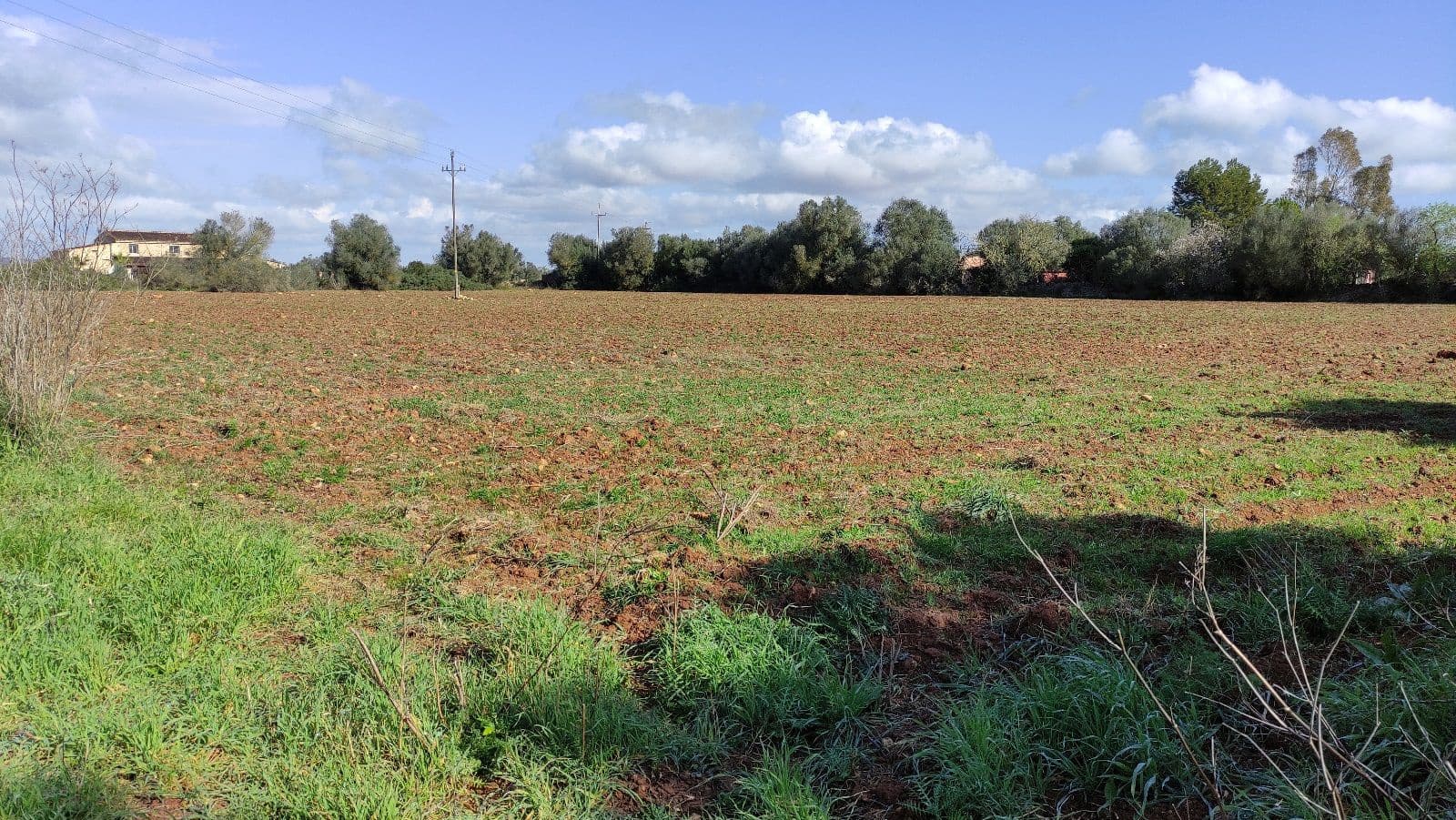 8 slaapkamer Finca/Landhuis te koop in Manacor met garage - € 2.000.000 (Ref: 9523158)