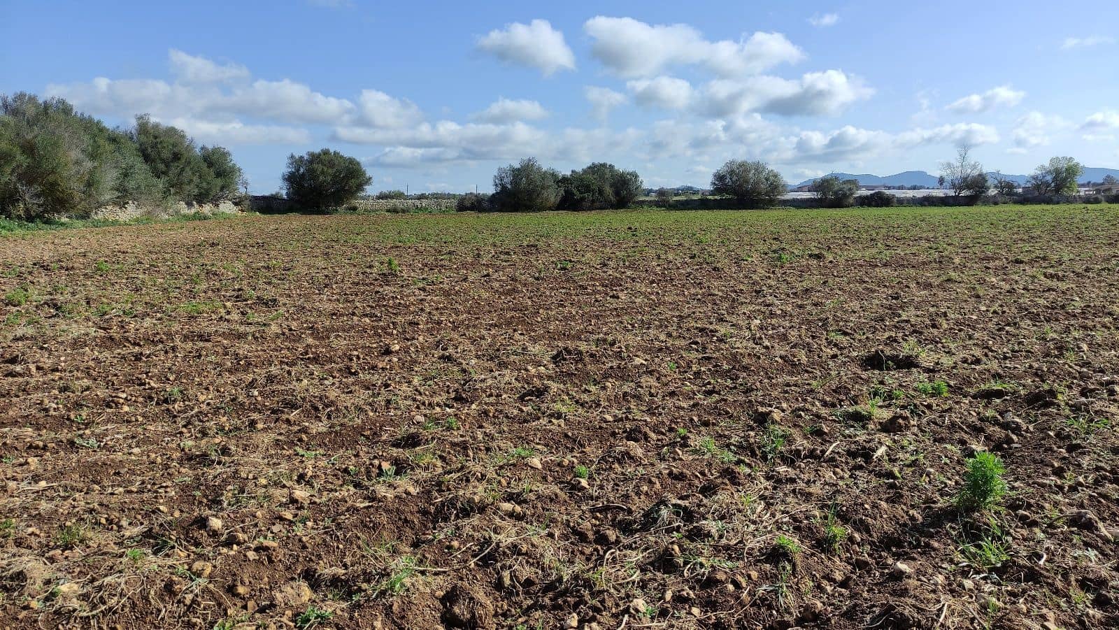 8 slaapkamer Finca/Landhuis te koop in Manacor met garage - € 2.000.000 (Ref: 9523158)