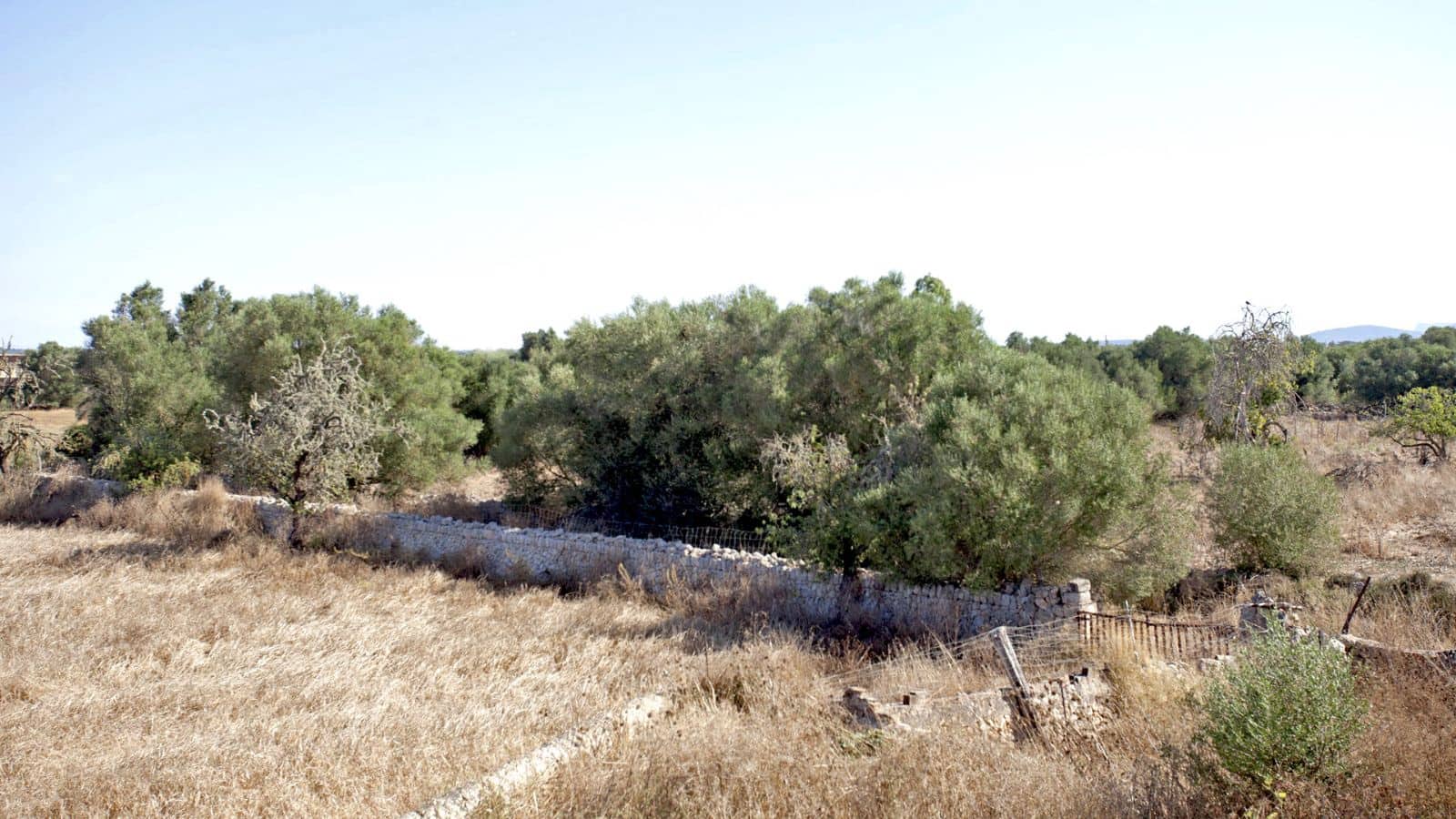 8 bedroom Finca/Country House for sale in Manacor with garage - € 1,495,000 (Ref: 9523158)