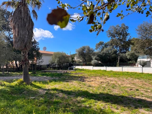 Building Plot for sale in Sa Pobla - € 295,000 (Ref: 9523161)