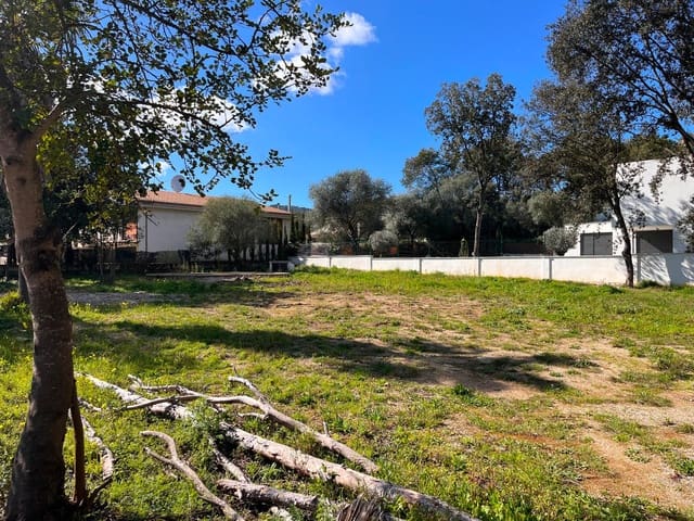 Building Plot for sale in Sa Pobla - € 295,000 (Ref: 9523161)