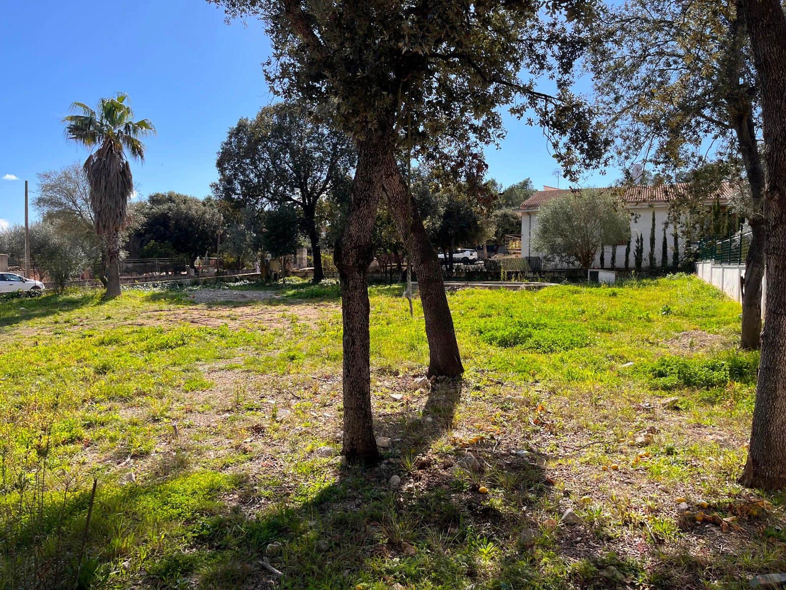 Building Plot for sale in Sa Pobla - € 295,000 (Ref: 9523161)
