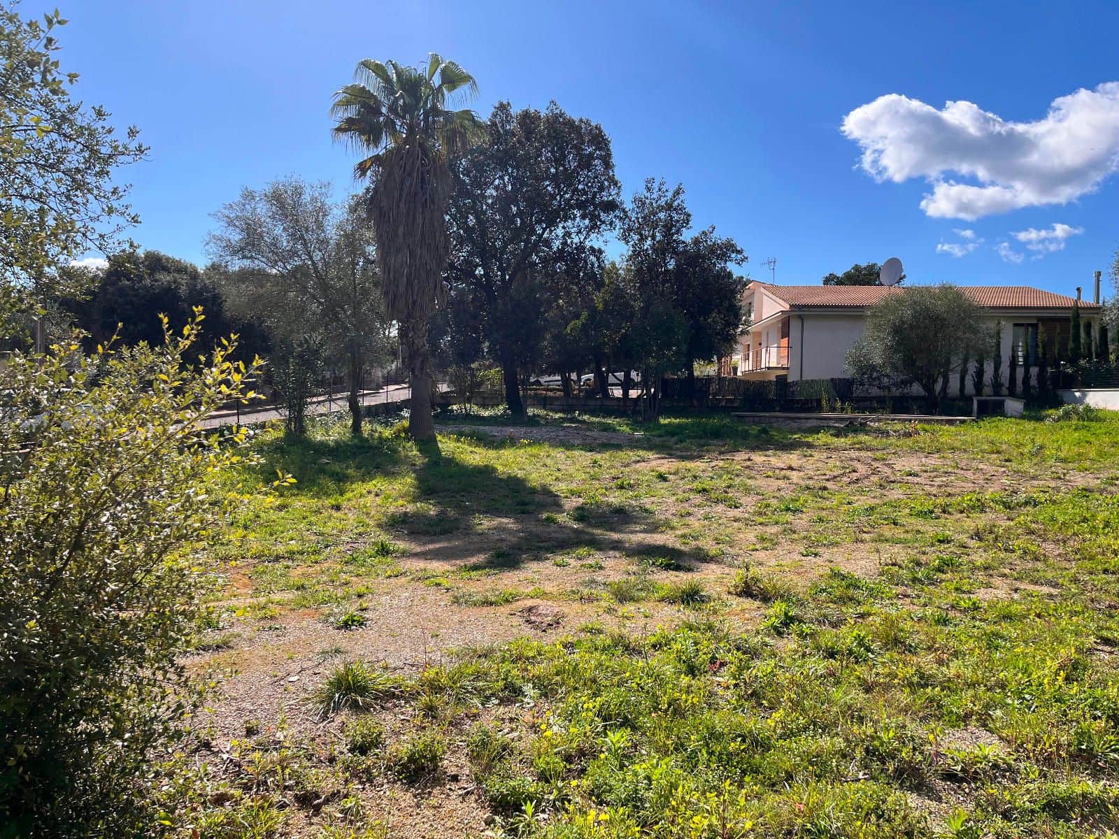 Building Plot for sale in Sa Pobla - € 295,000 (Ref: 9523161)
