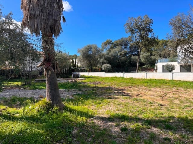 Building Plot for sale in Sa Pobla - € 295,000 (Ref: 9523161)
