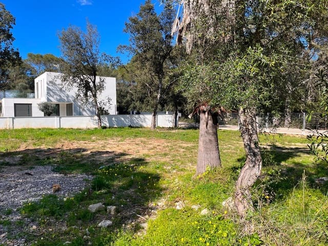 Building Plot for sale in Sa Pobla - € 295,000 (Ref: 9523161)