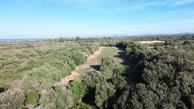 Undeveloped Land for sale in Muro - € 250,000 (Ref: 9523171)